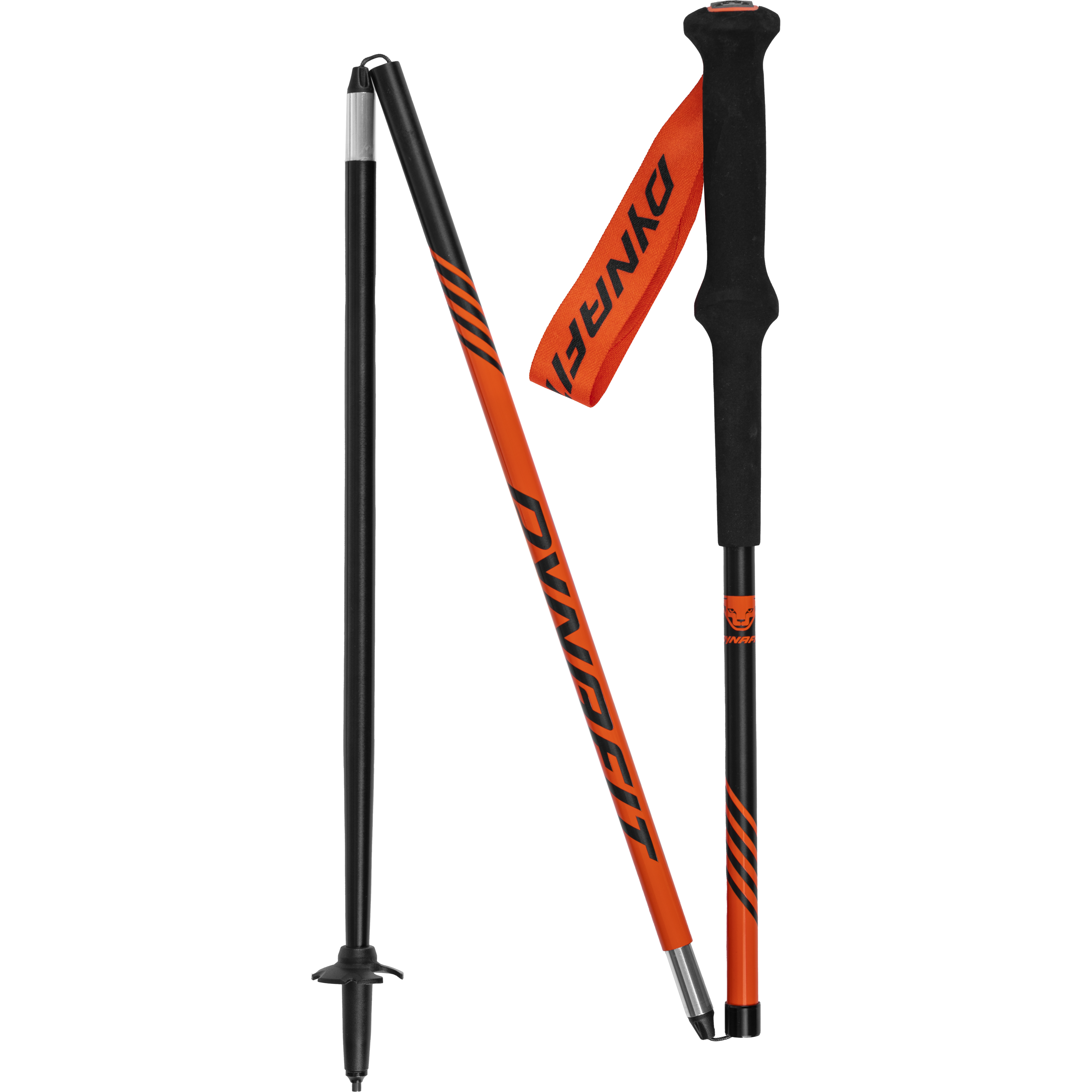 スキー dynafit pole 115cm Tour Pole | Dynafit® USA