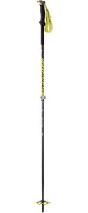 Free Vario Pole