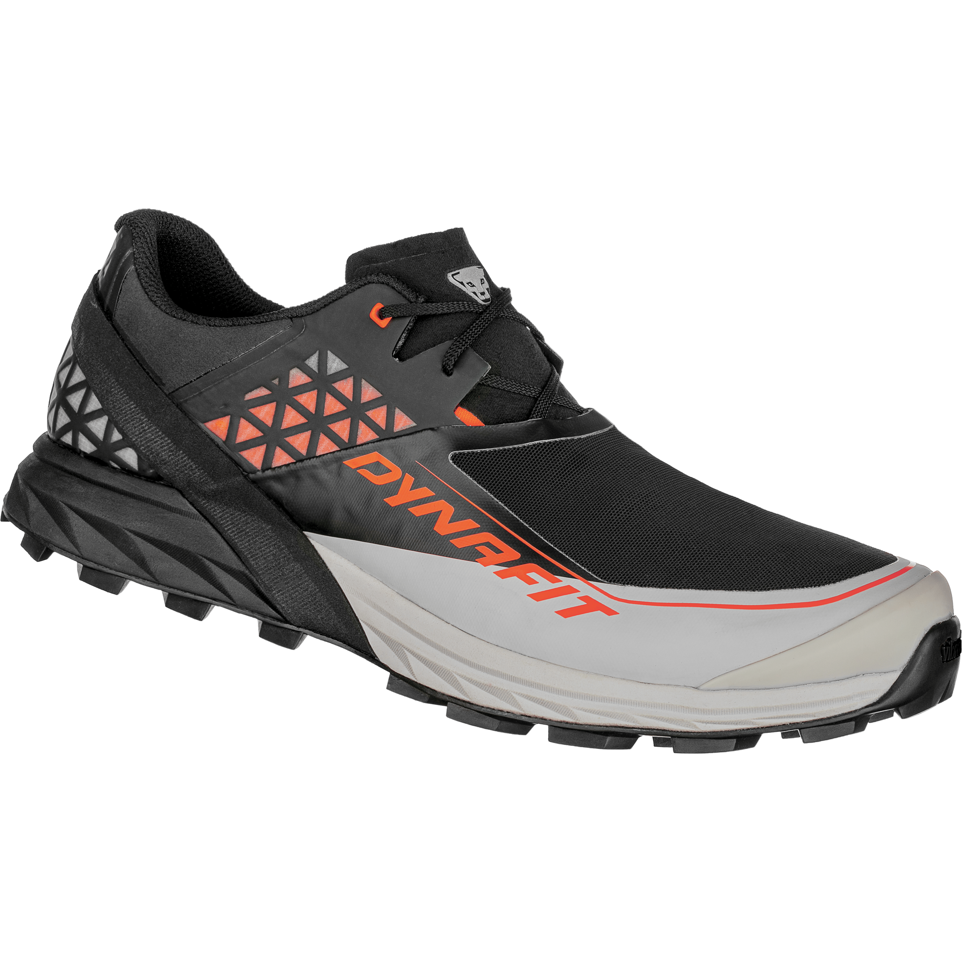 Alpine DNA Running Shoe Men still image