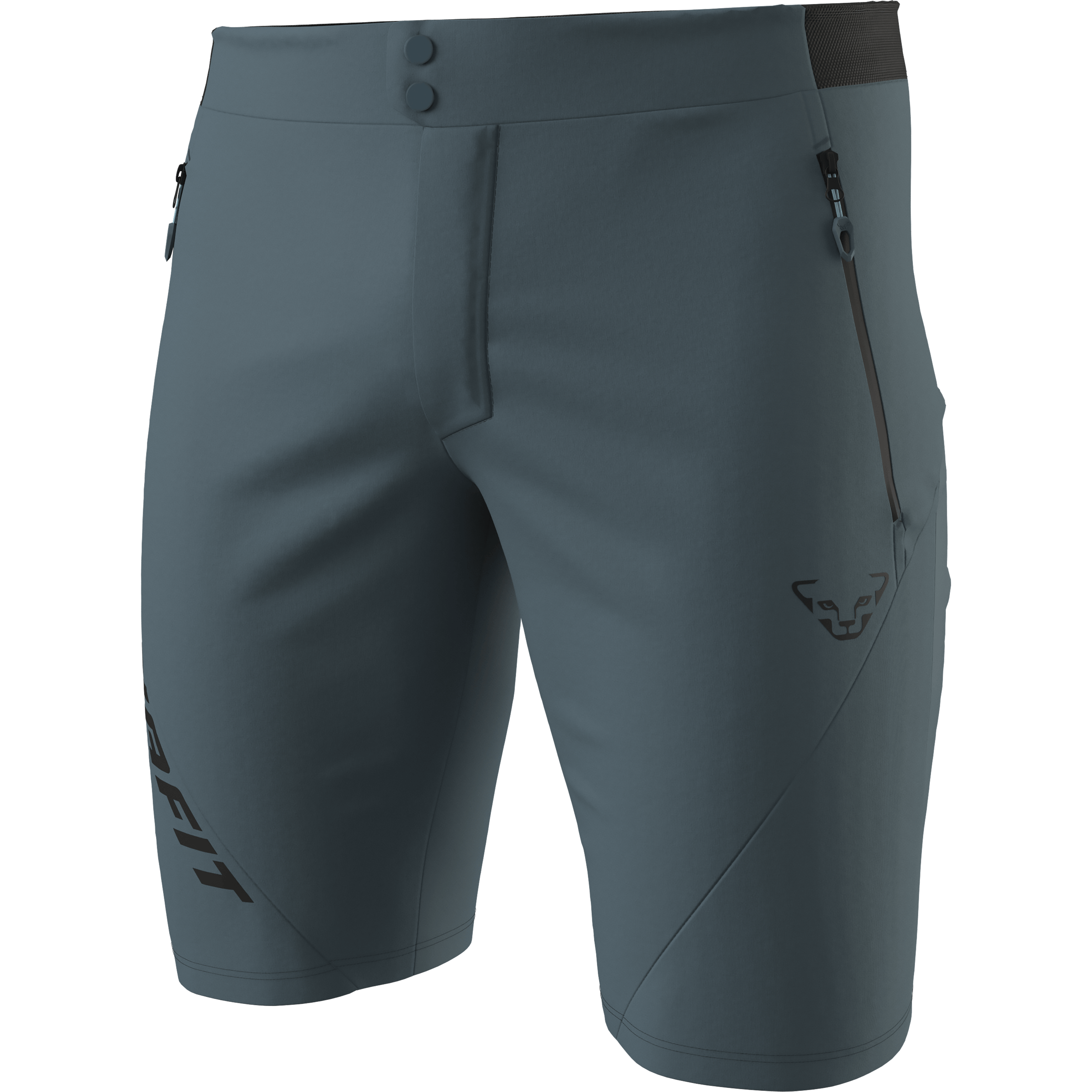 Transalper Light Dynastretch Shorts Herren still image