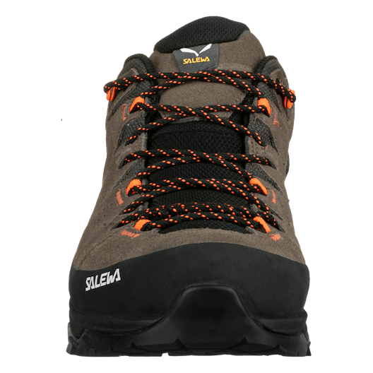 Alp Trainer 2 Gore-Tex® Shoe Men perspective_view image