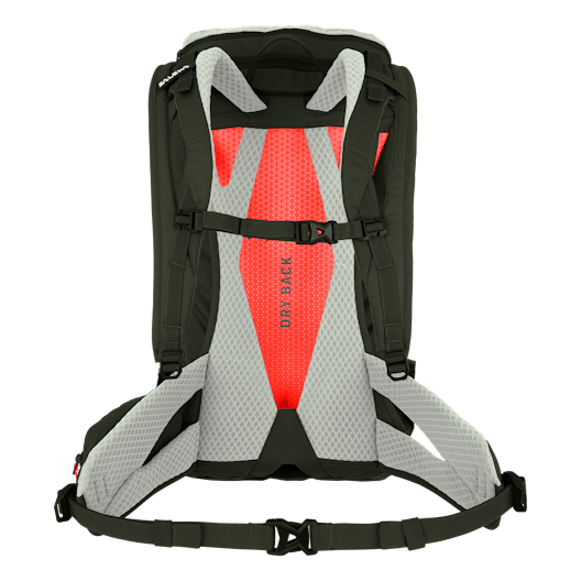 Alp Trainer 25L Rucksack perspective_view image