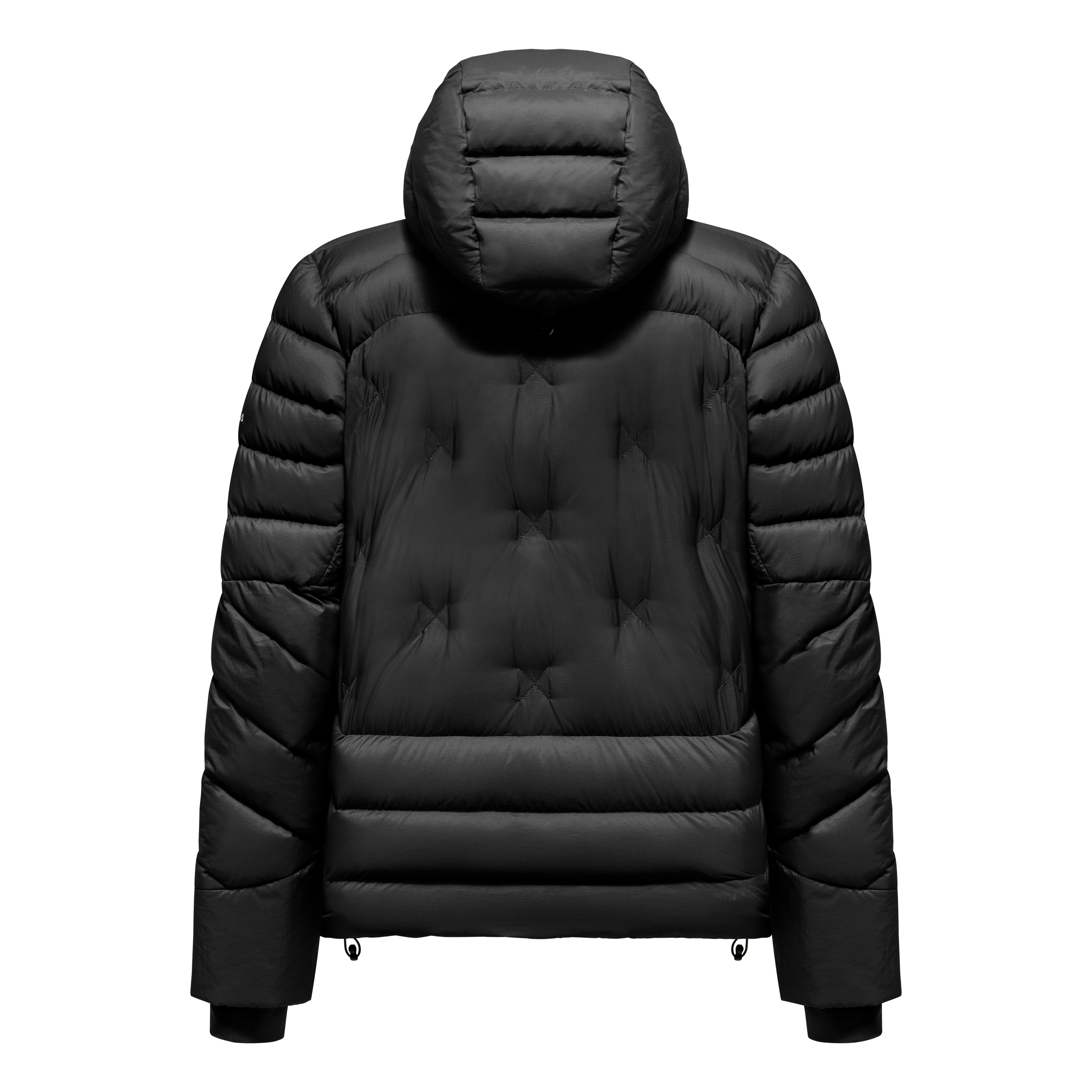 Ortles Medium 4 RDS Down Jacke Herren perspective_view image