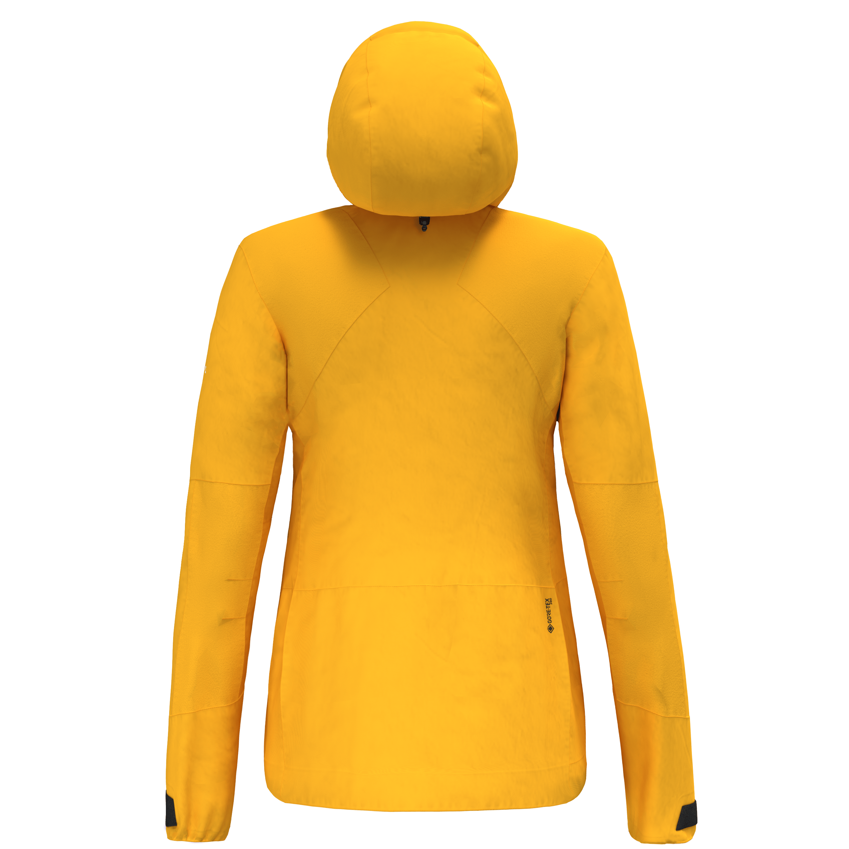 Ortles GORE-TEX® Pro Stretch Jacke Damen perspective_view image