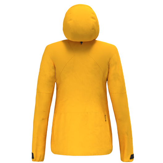 Ortles GORE-TEX® Pro Stretch Jacke Damen perspective_view image