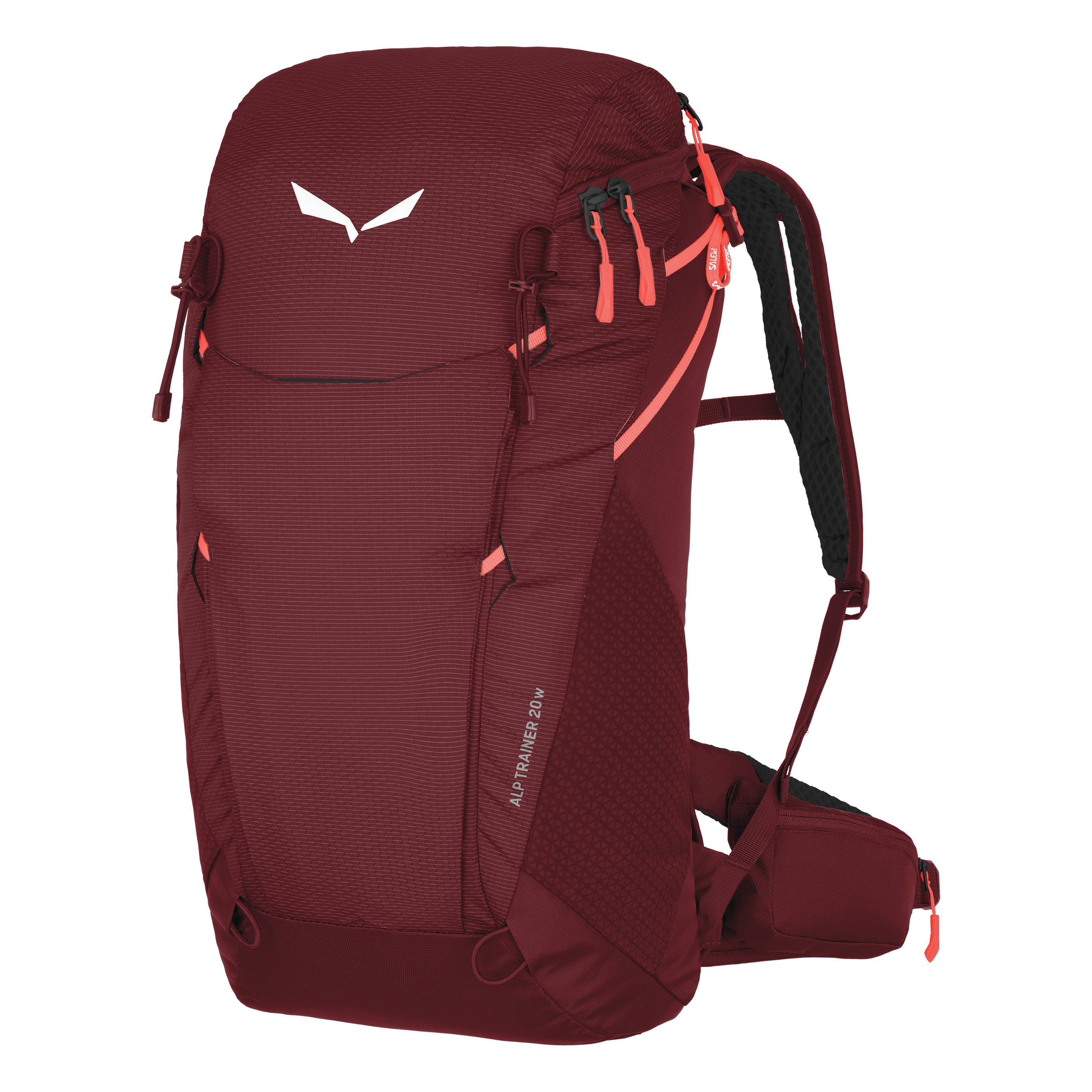 Alp Trainer 20L Backpack Women still image