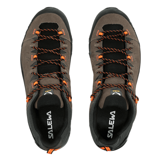 Alp Trainer 2 Gore-Tex® Shoe Men perspective_view image