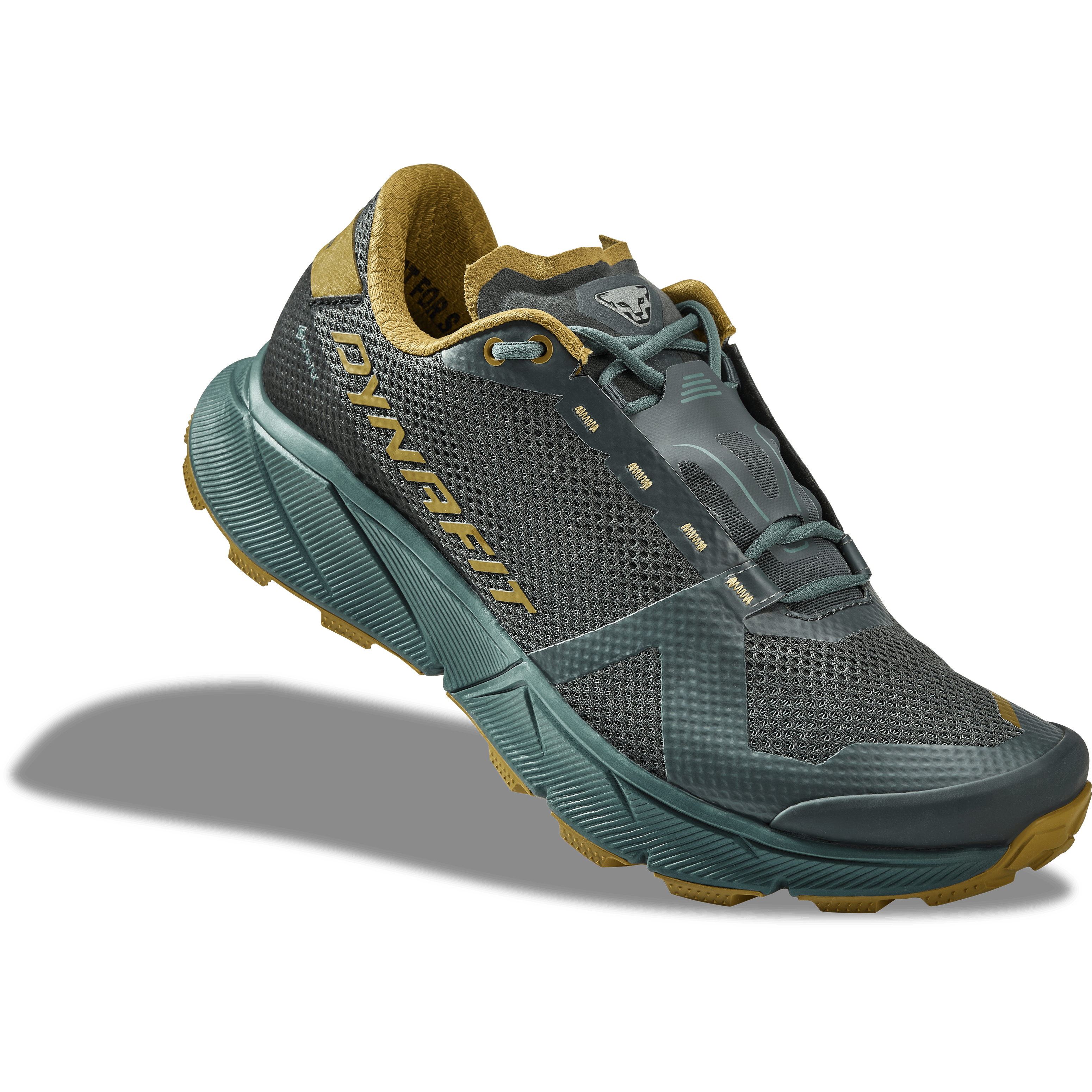 Ultra 100 GORE-TEX® Laufschuh Herren perspective_view image