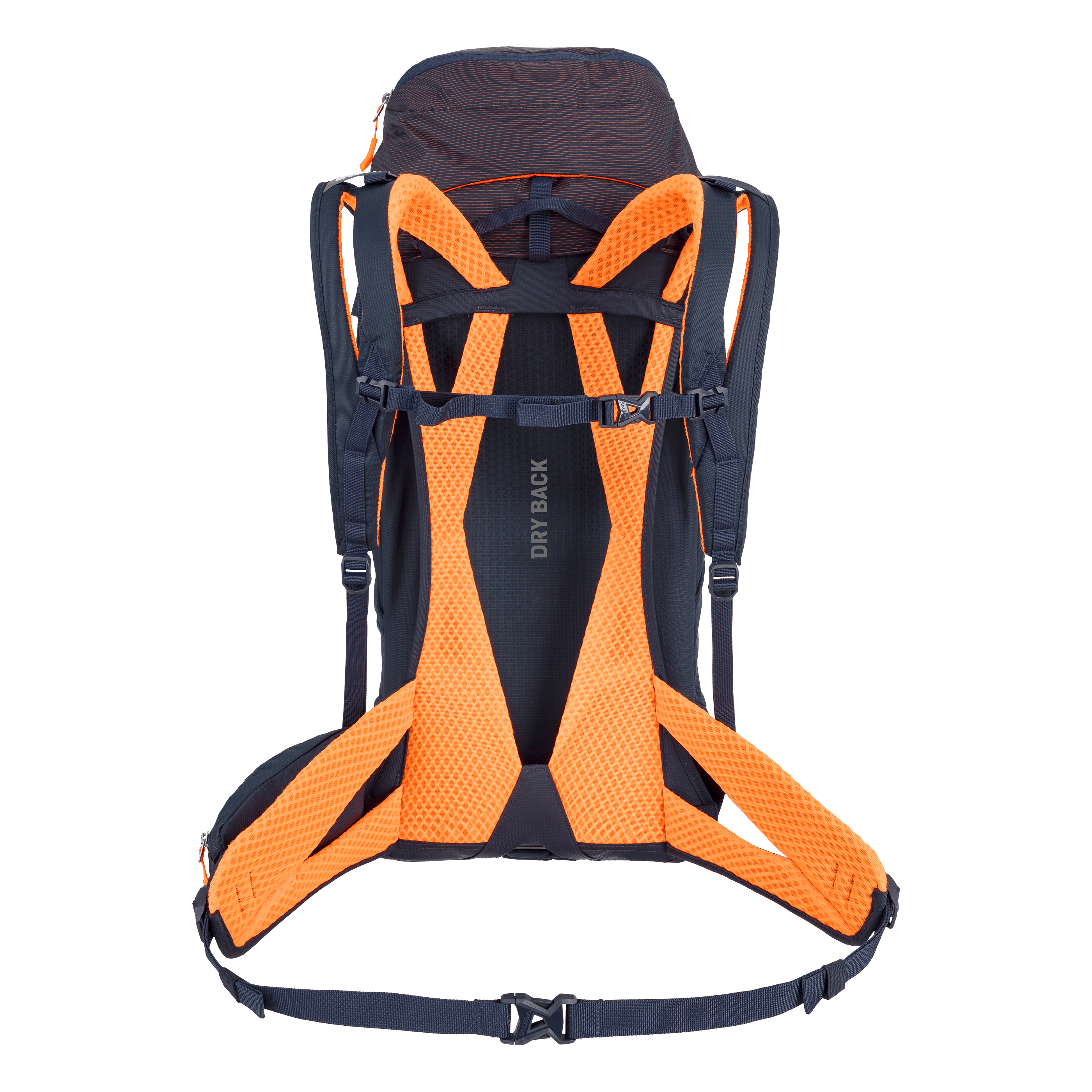Alp Trainer 35+3L Backpack perspective_view image