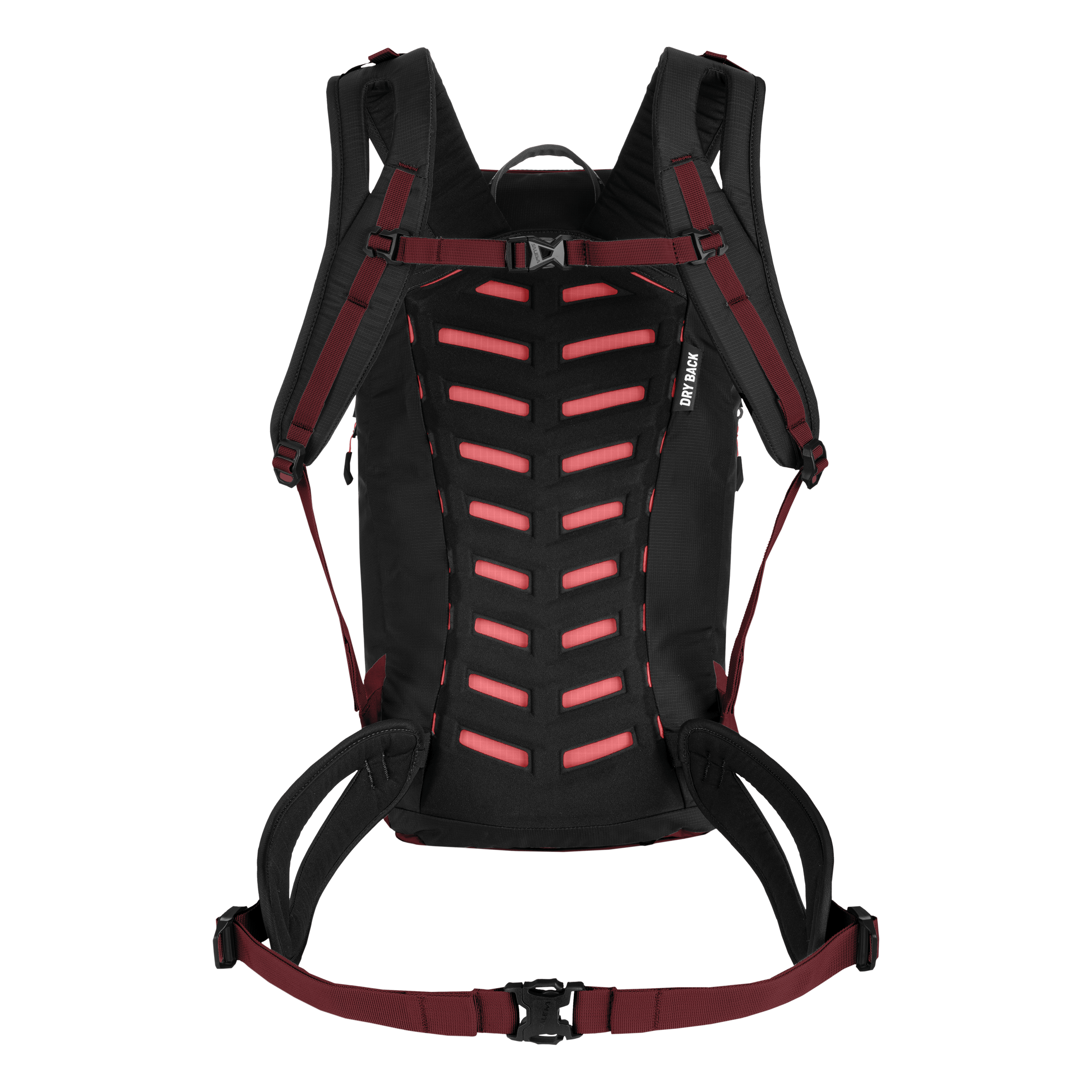 Puez 23L Rucksack Damen perspective_view image