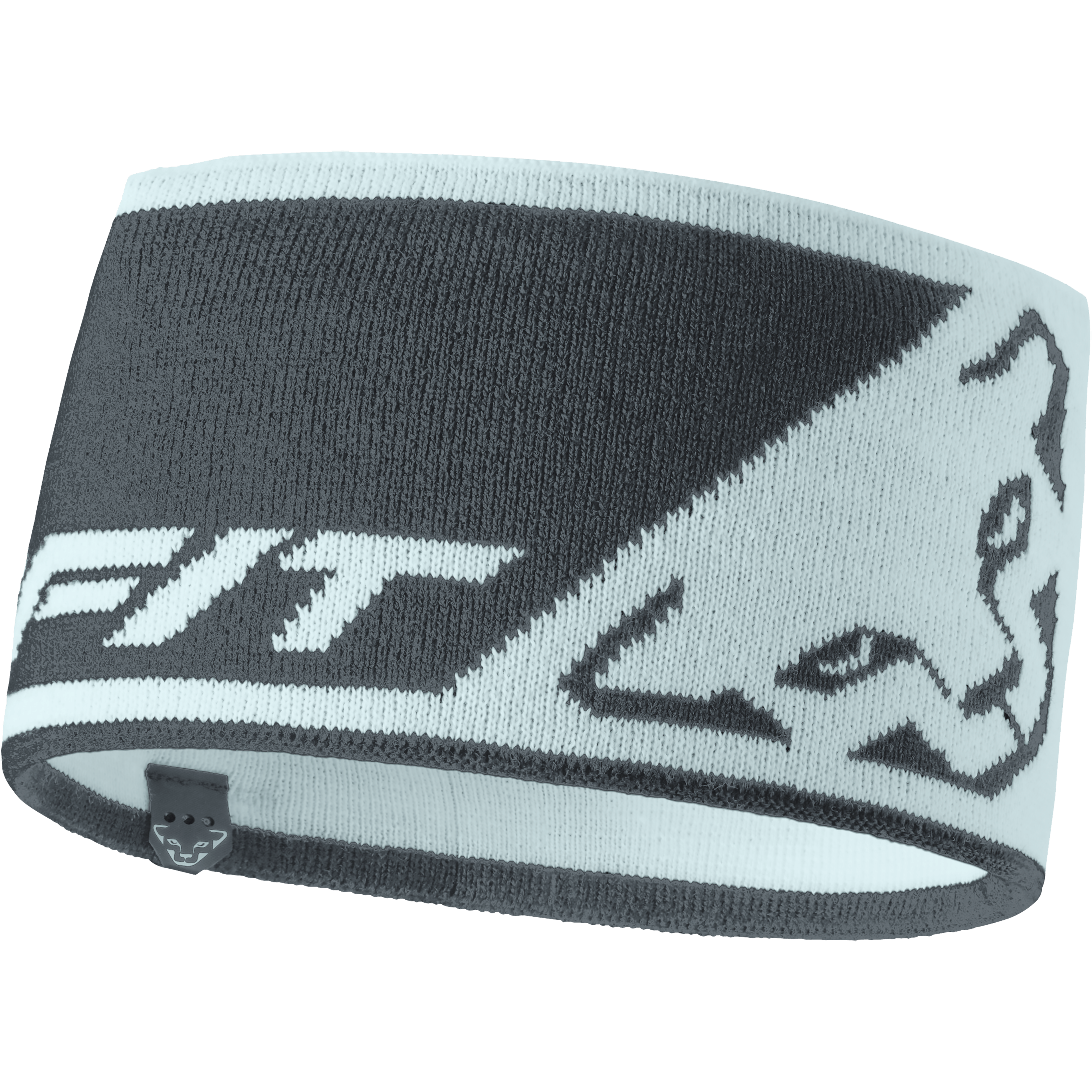 Leopard Logo fascia still image