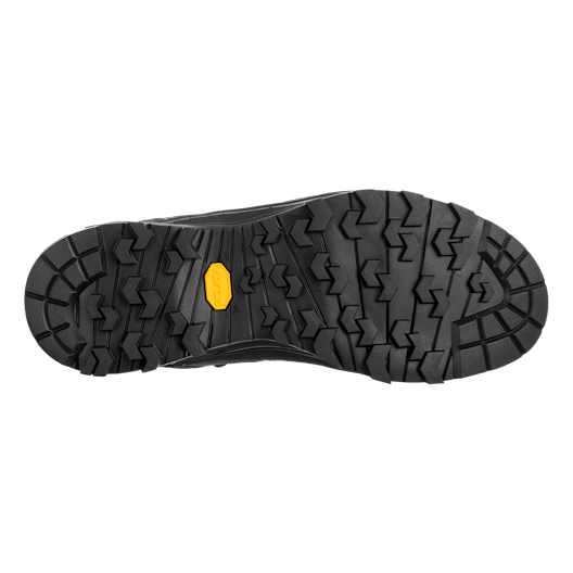 Alp Trainer 2 Gore-Tex® Shoe Men perspective_view image