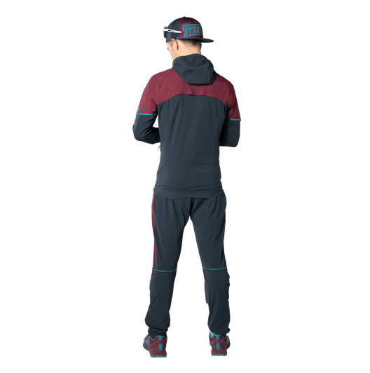 Alpine Hybrid Pants Men perspective_view image