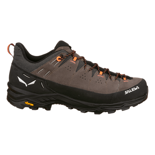 Alp Trainer 2 Shoe Men perspective_view image