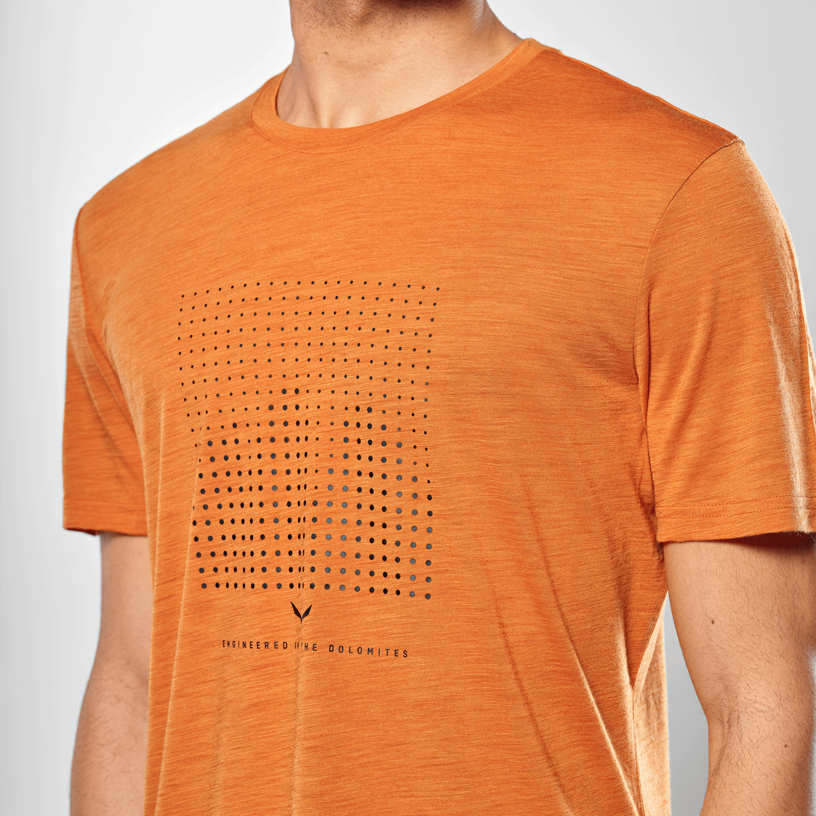 Eagle Dotted Mountain Trainer Merino T-Shirt  Herren tech_detail image