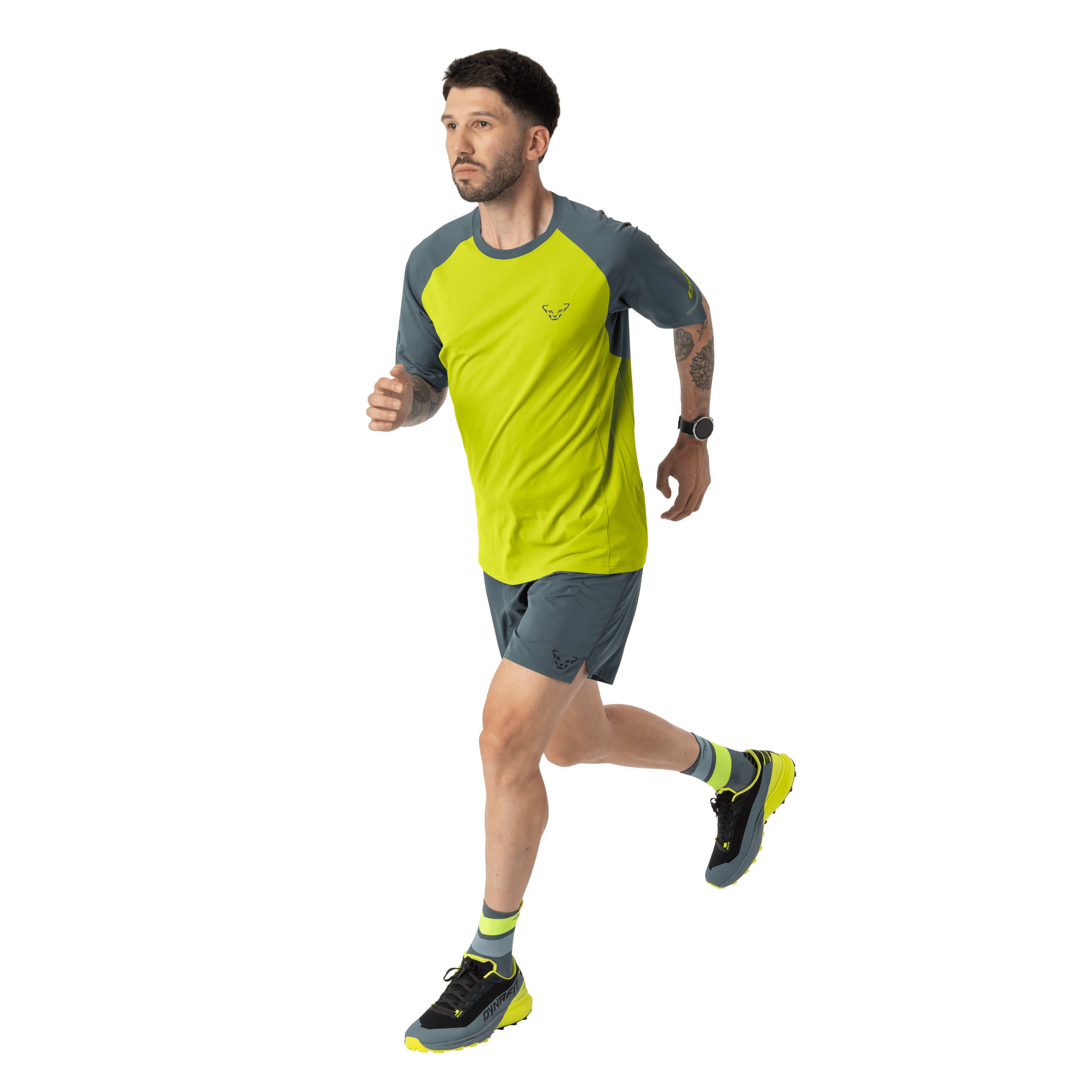 Alpine Pro Shirt Herren on_body image