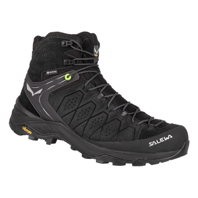 Alp Trainer 2 Mid GORE-TEX® Men's Shoe still image