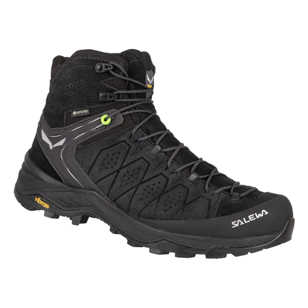 Alp Trainer 2 Mid GORE-TEX® Men's Shoe still image