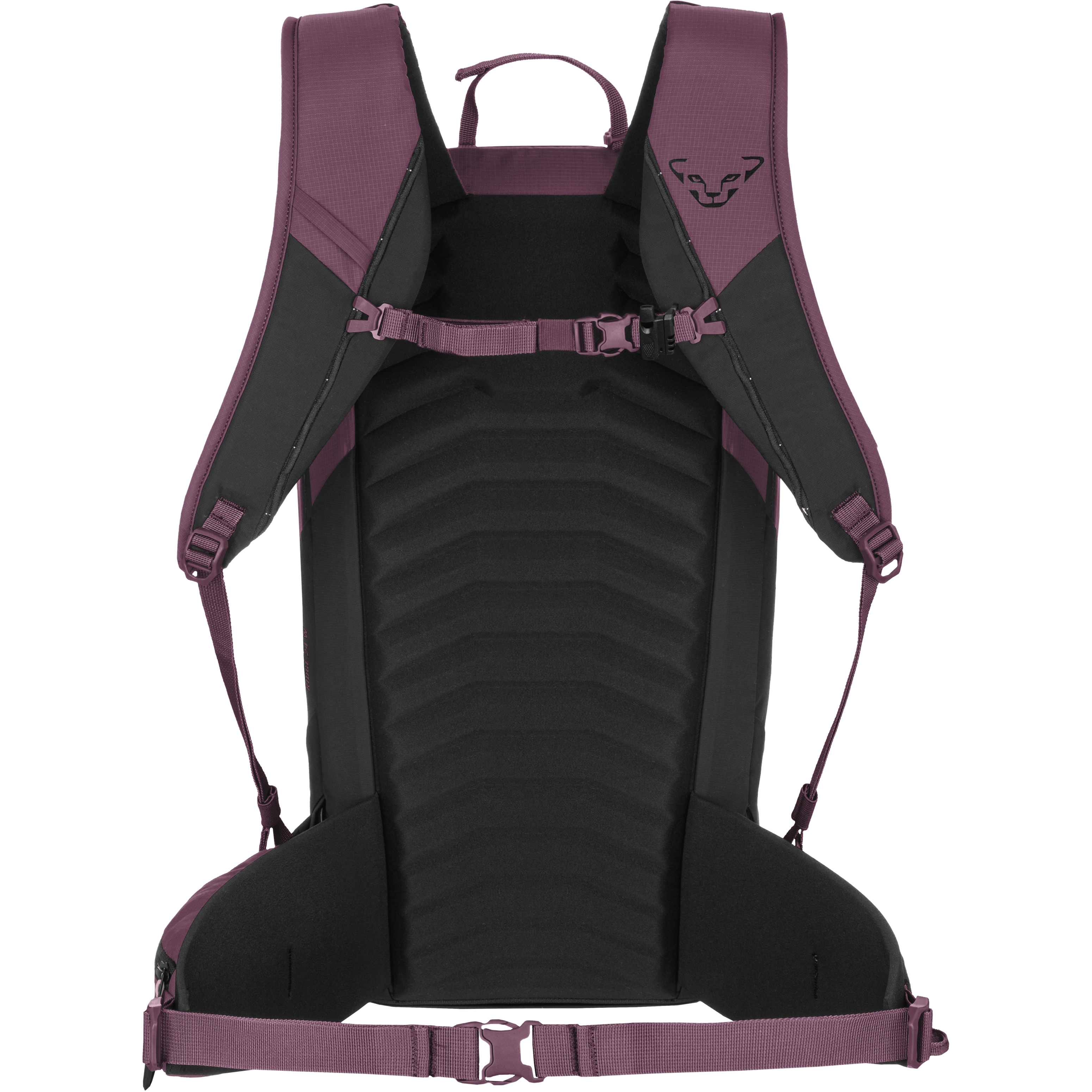 Sac à dos Ridge 24 femmes perspective_view image