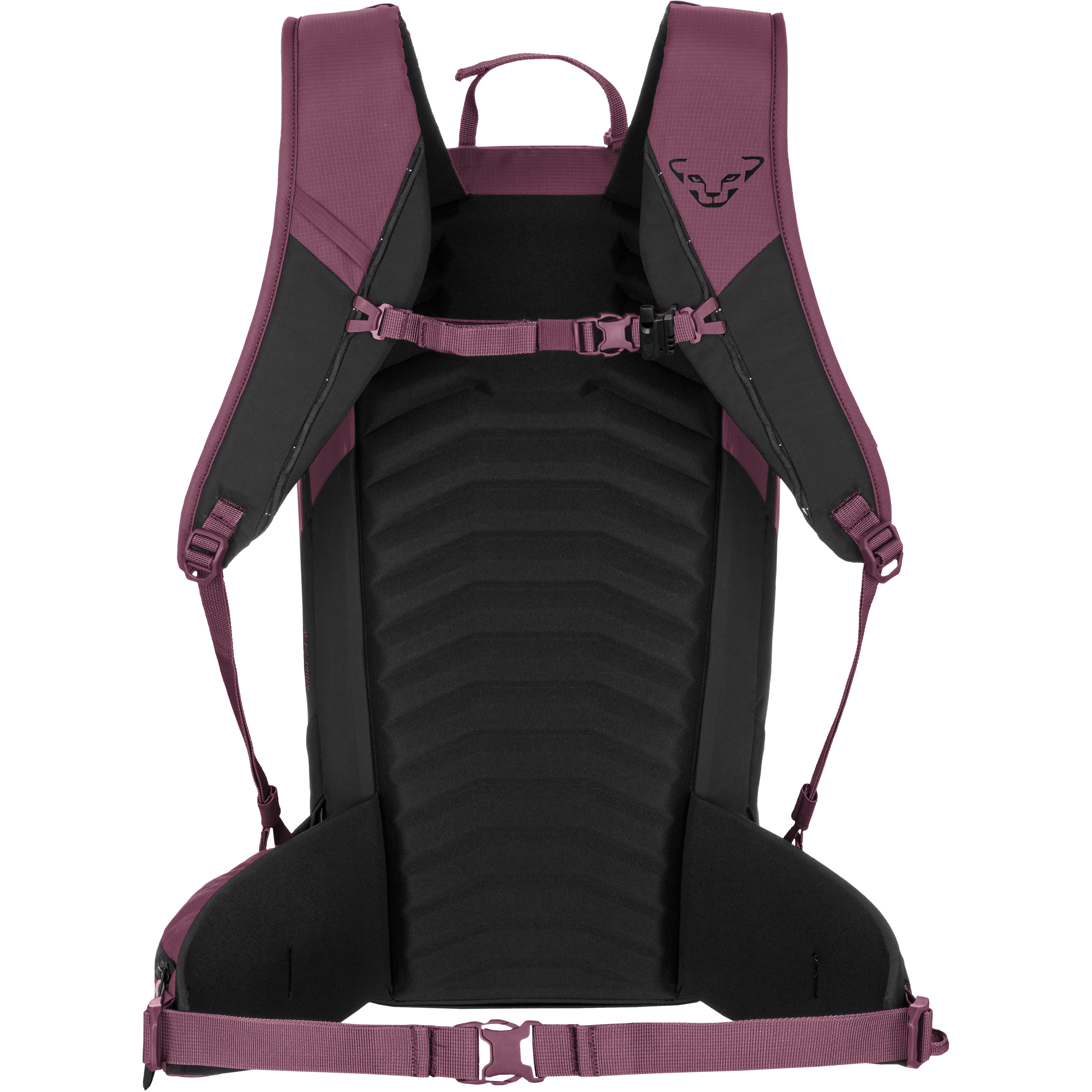 Ridge 24 Backpack Women | Dynafit® shops.full.Dynafit_GB