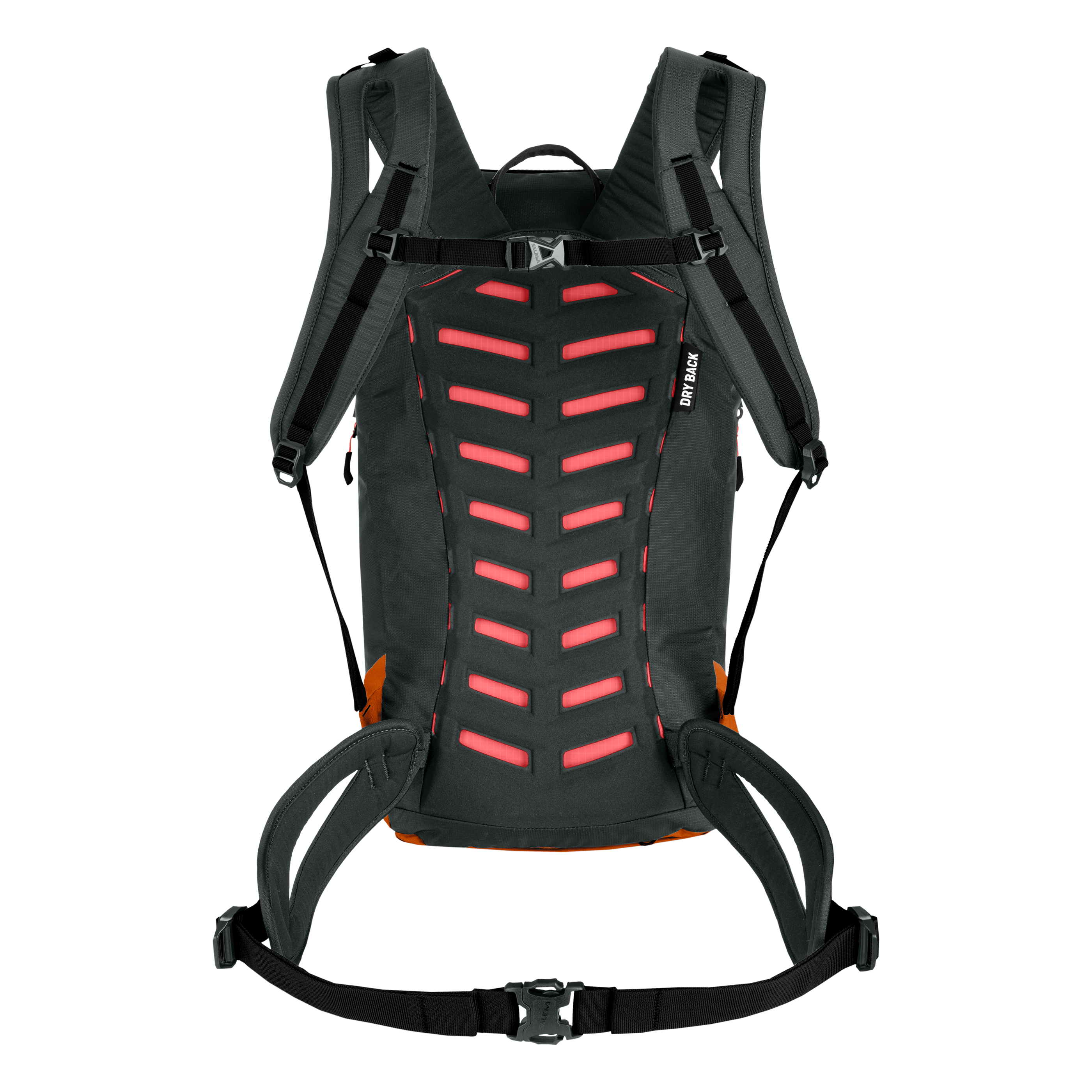 Puez 25L Zaino perspective_view image