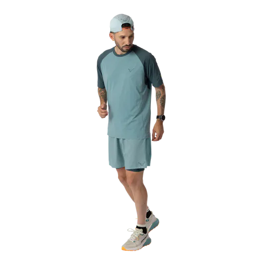 Alpine Pro 2in1 Shorts Herren on_body image