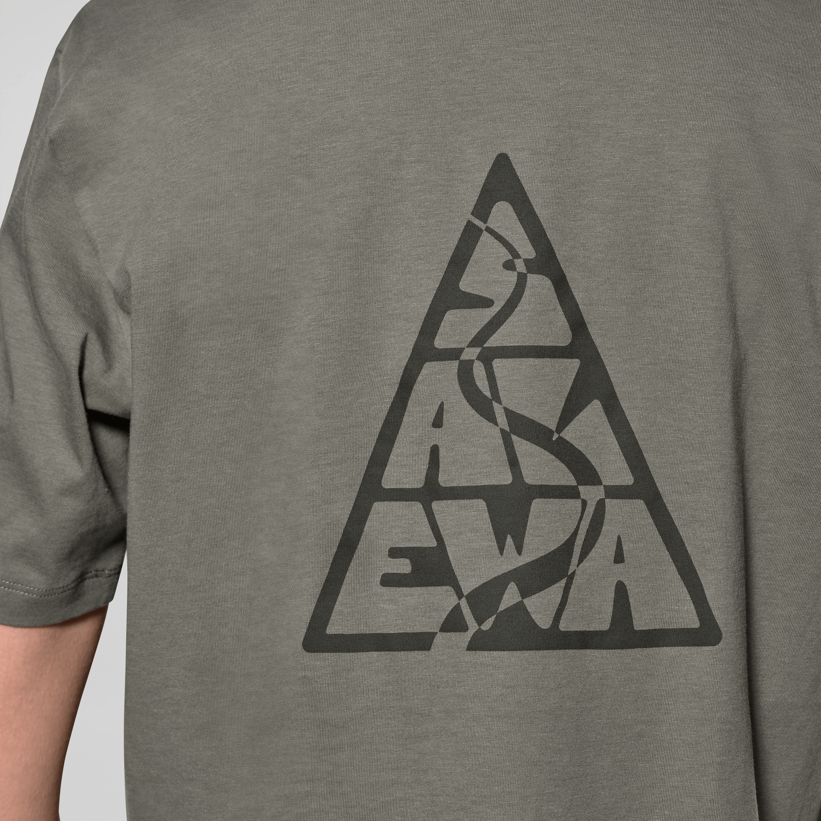 Eagle Loose T-Shirt Donna tech_detail image