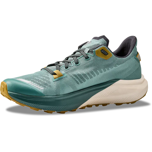 Trail Running Shoe Men perspective_view image