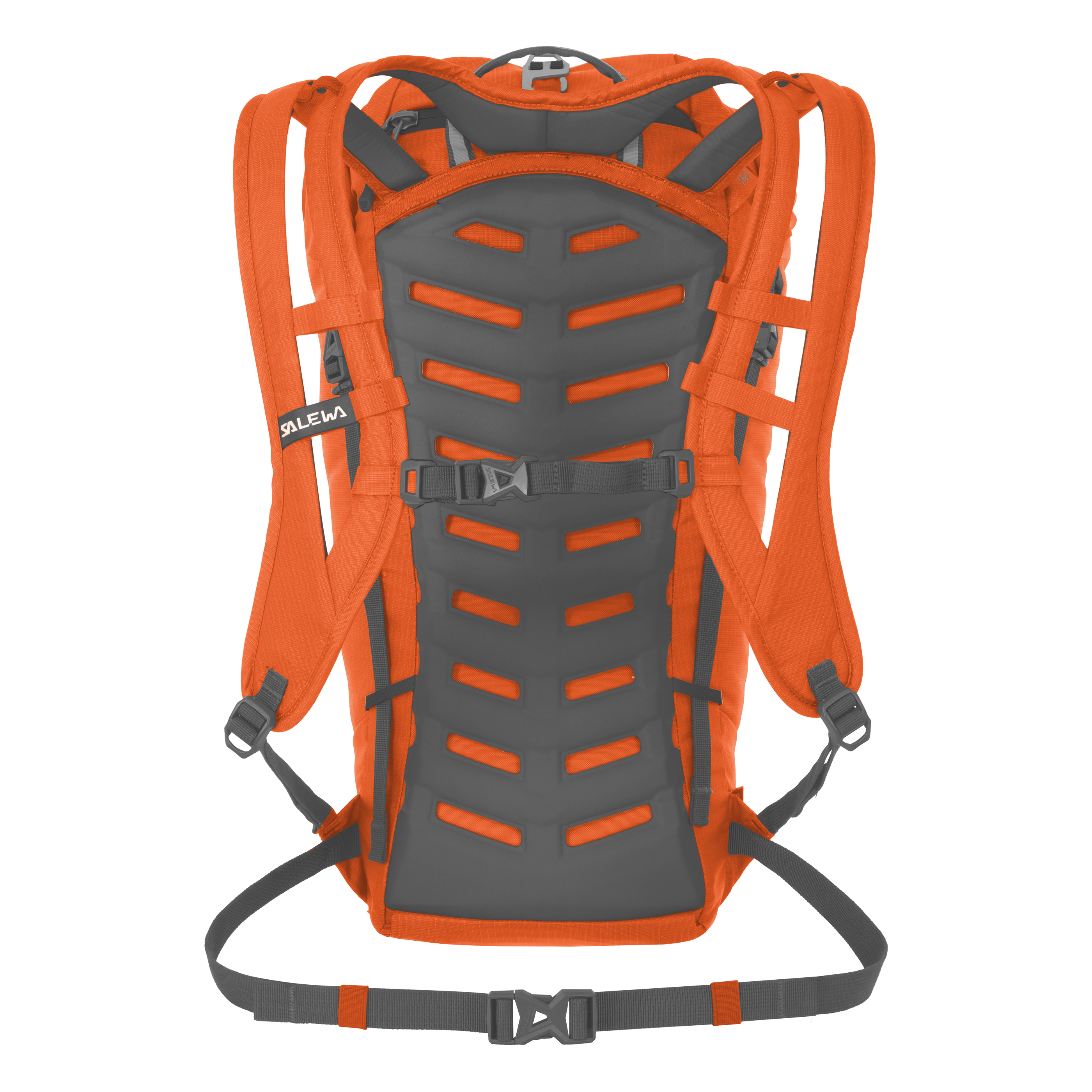 Ortles Climb 25L Rucksack perspective_view image