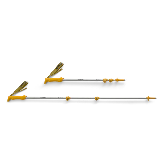 Re-poles still image