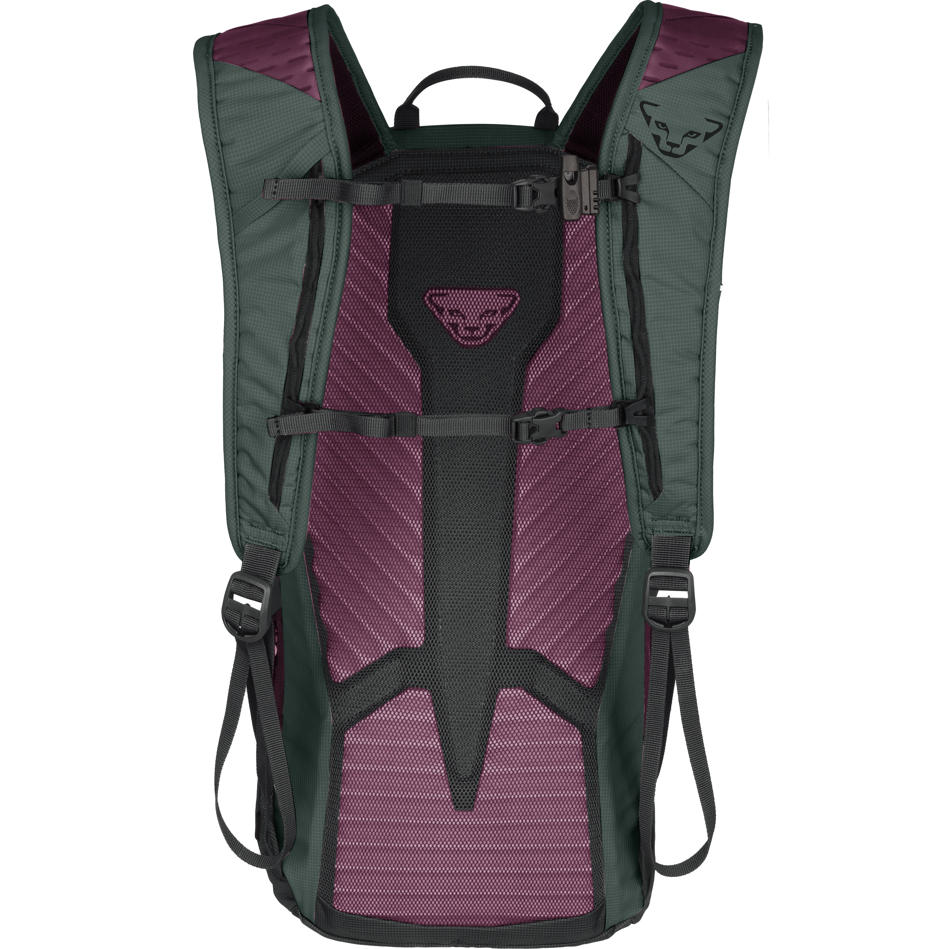 Transalper 16 Rucksack Damen perspective_view image