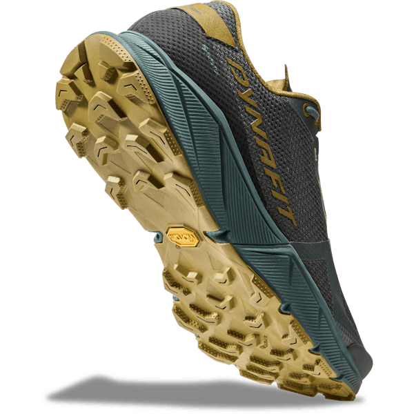 Ultra 100 GTX Running Shoes Men