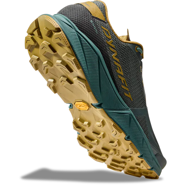 Ultra 100 GORE-TEX® Running Shoes Men perspective_view image