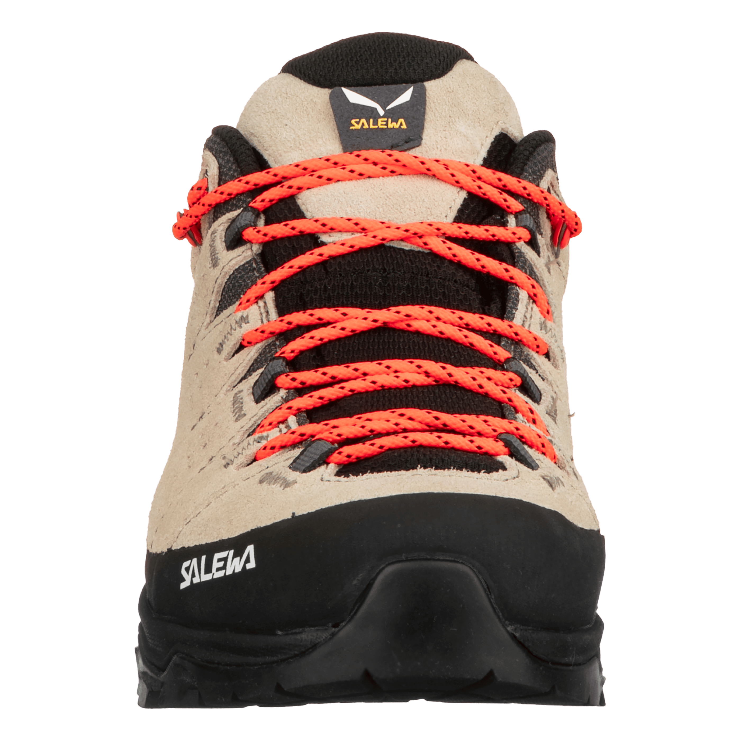 Alp Trainer 2 Scarpa Donna perspective_view image