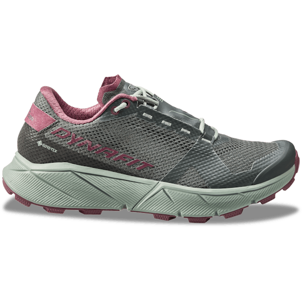 Ultra 100 GTX Running Shoes Women