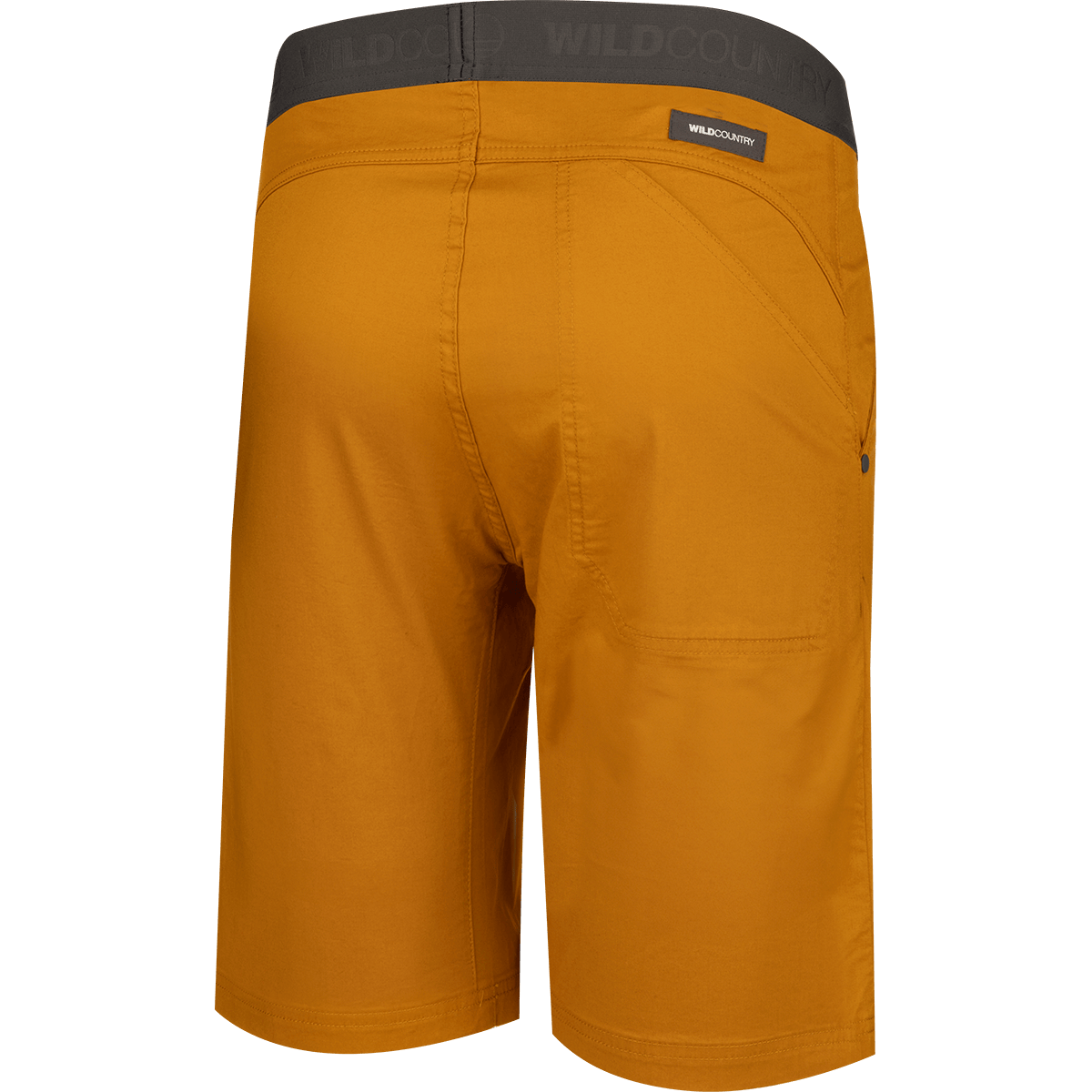 Session 2 Man Shorts perspective_view image