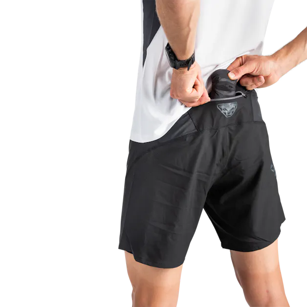 Alpine Pro 2in1 Shorts Herren on_body image