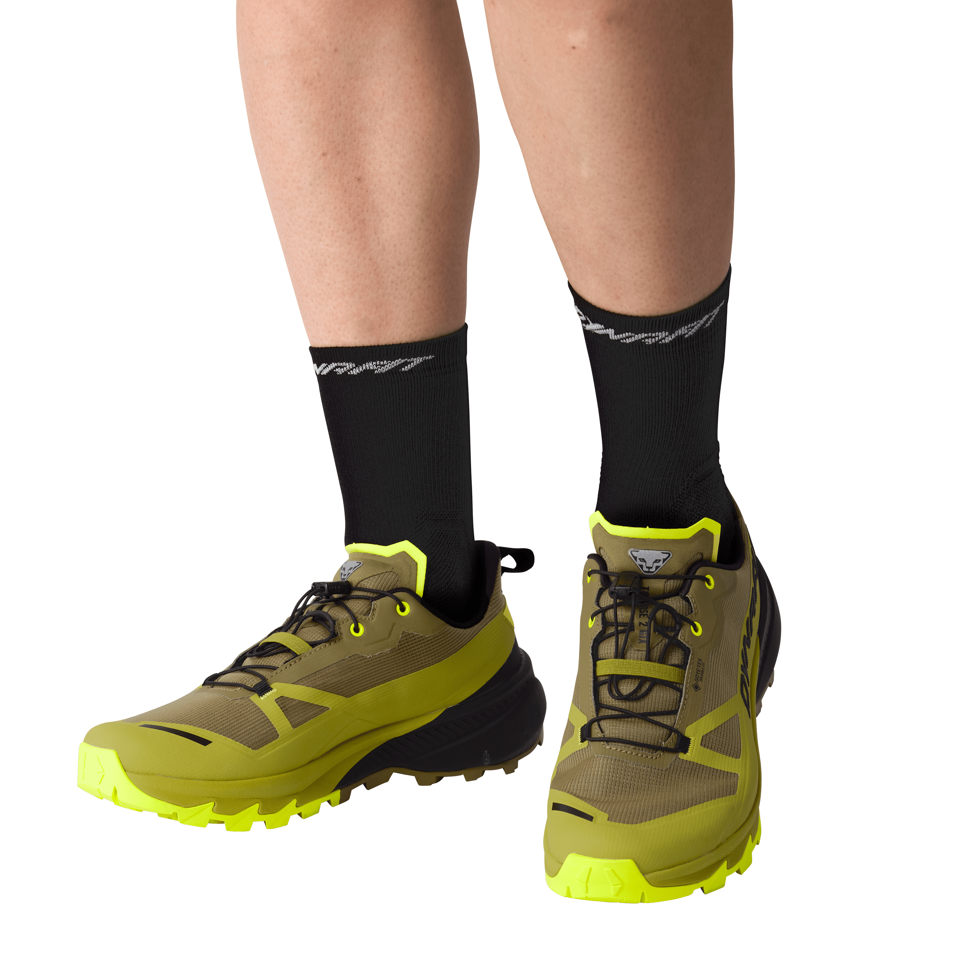 Traverse 2 GORE-TEX® Mountaineering Schuh Herren perspective_view image