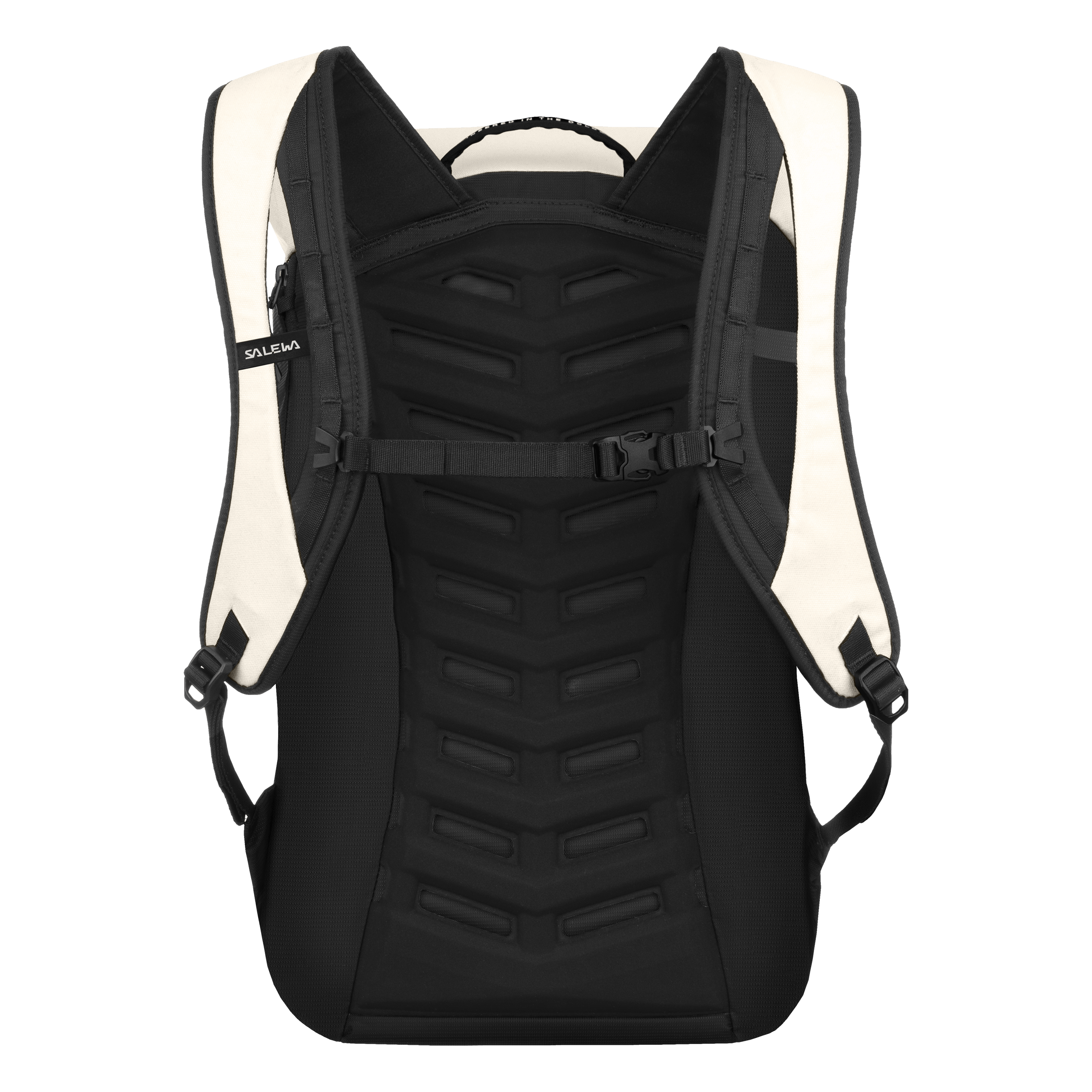 FANES 24L RUCKSACK perspective_view image