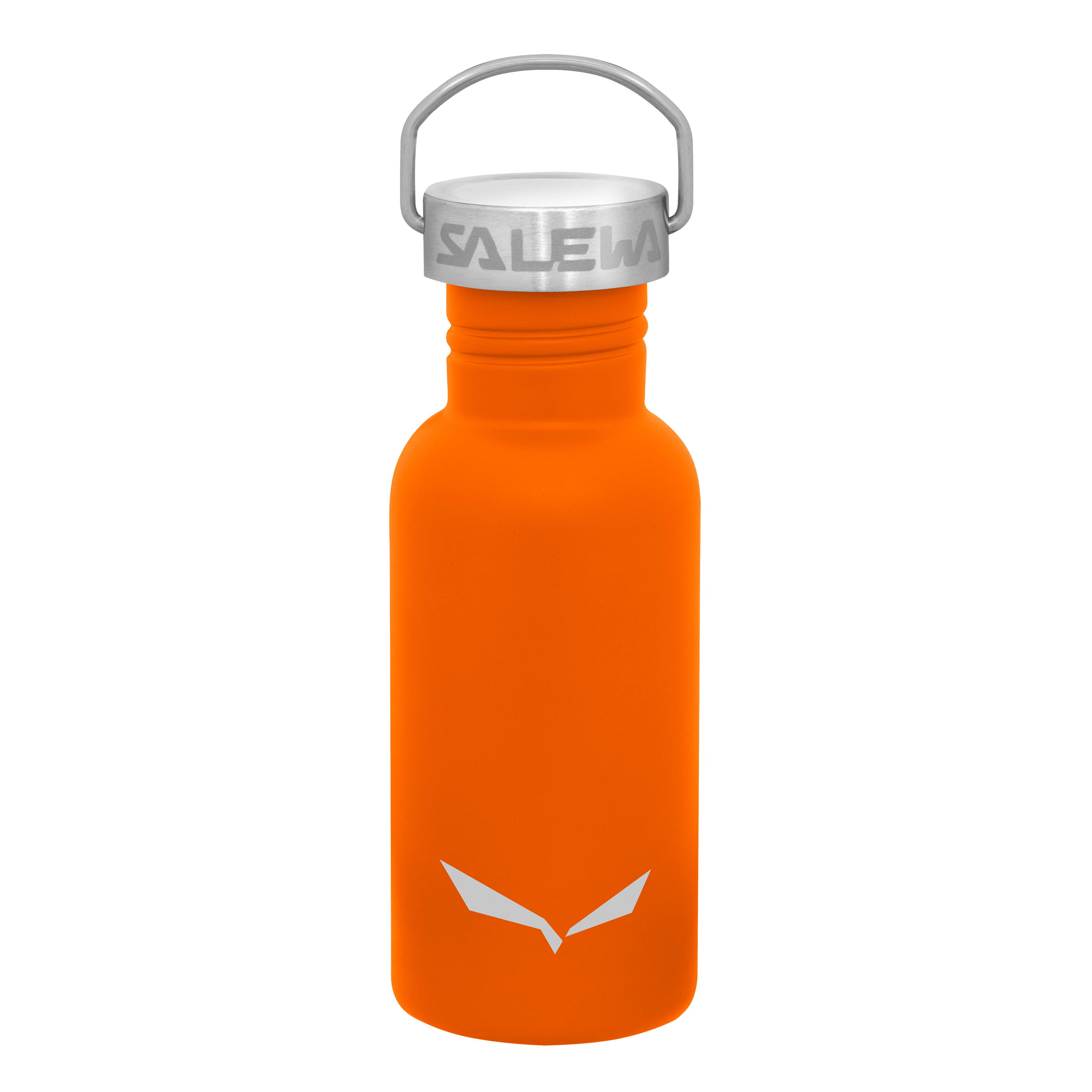 AURINO 0,5L BOUTEILLE EN ACIER still image