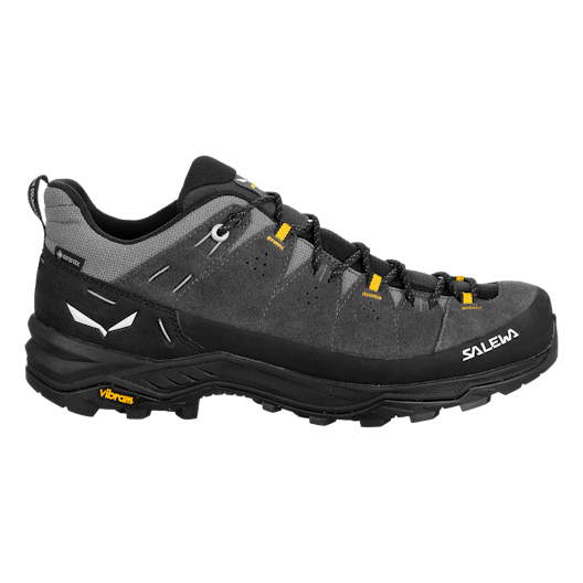 Alp Trainer 2 Gore-Tex® Shoe Men perspective_view image