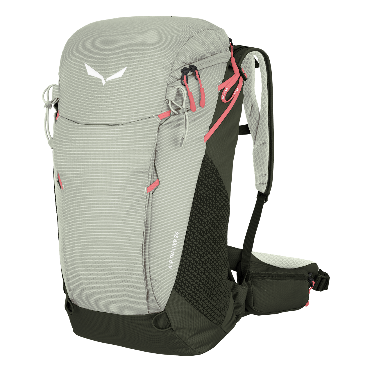 Alp Trainer 25L Backpack