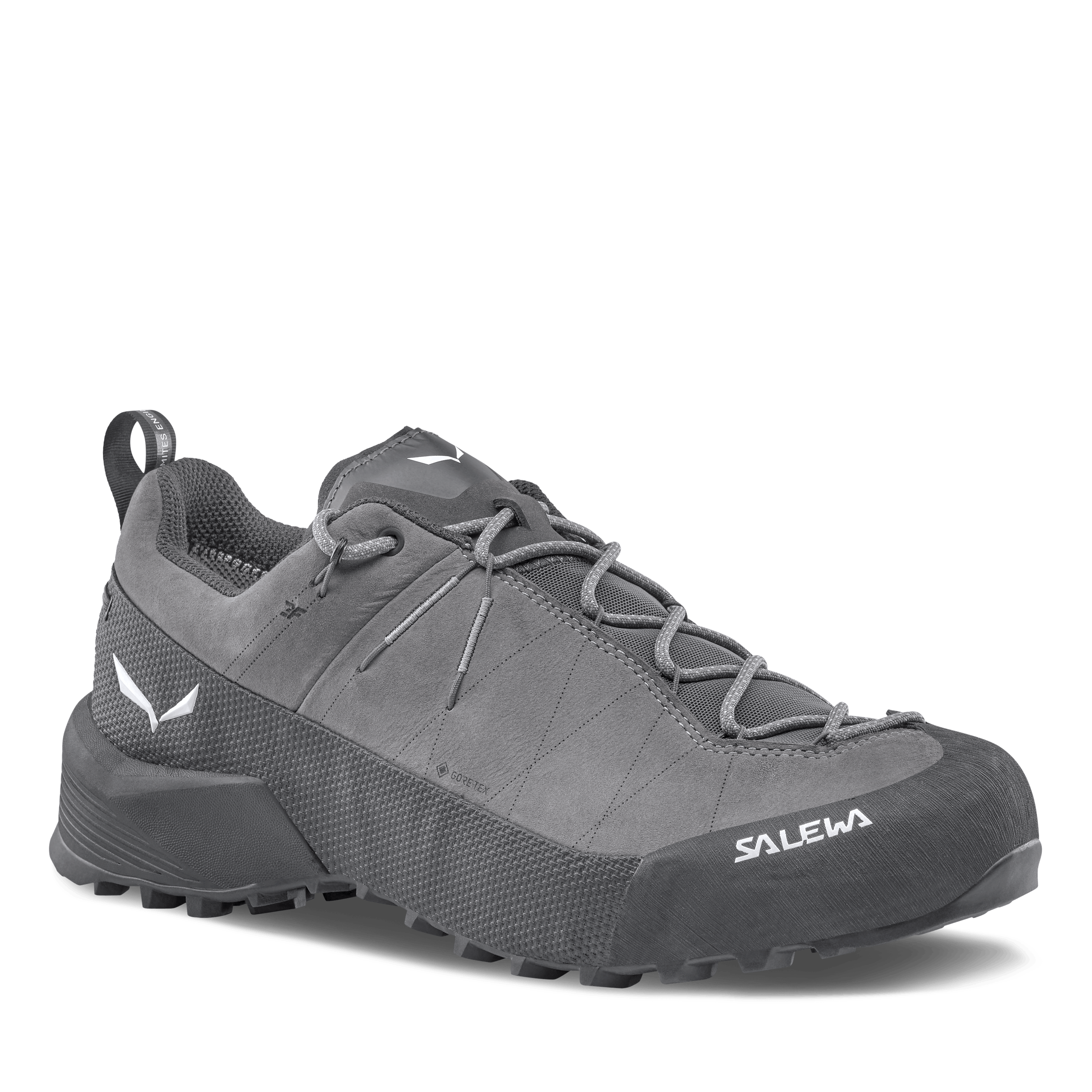 Wildfire Leather 2 GORE-TEX® Shoe Men | Salewa® International