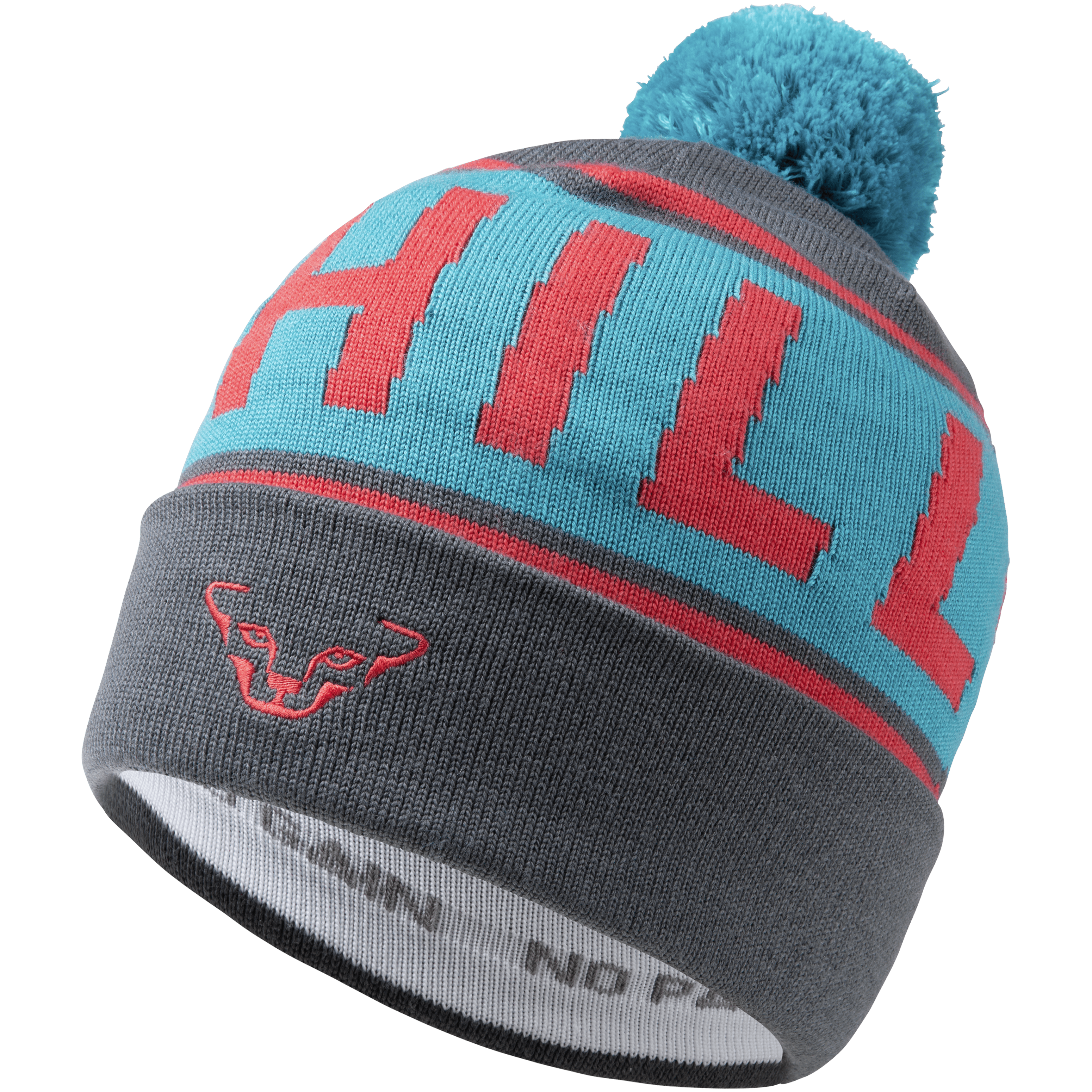 SkiUphill Beanie still image