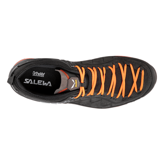 Mountain Trainer 2 GORE-TEX® Herrenschuhe perspective_view image