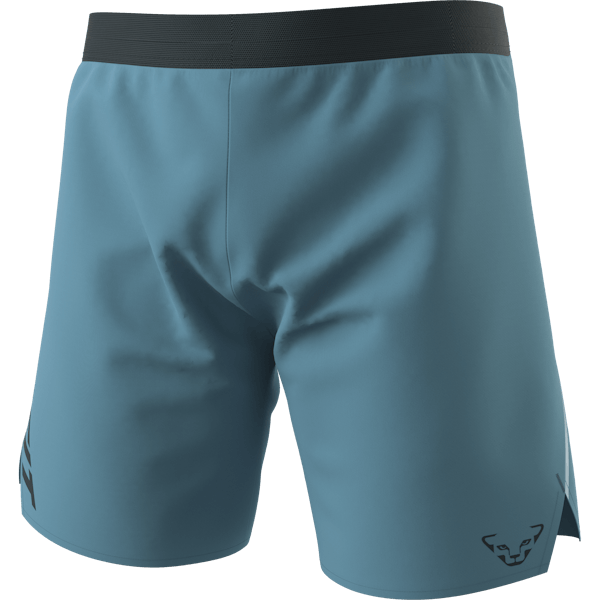 Alpine Shorts Men