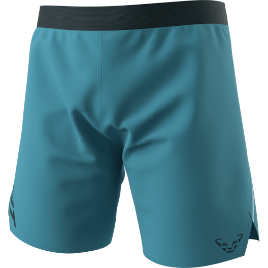 Alpine Shorts Men still image