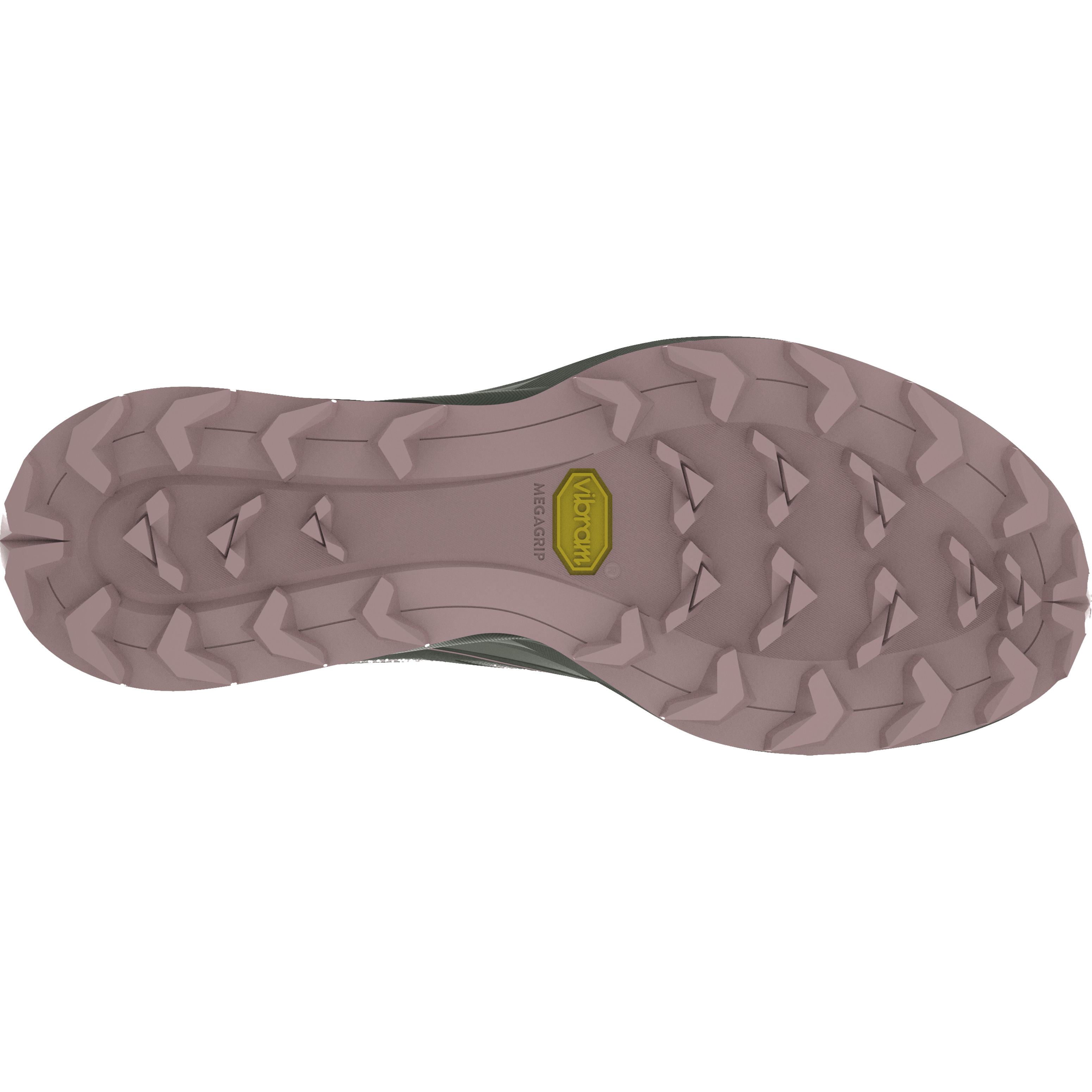 Alpine Laufschuh Damen tech_detail image