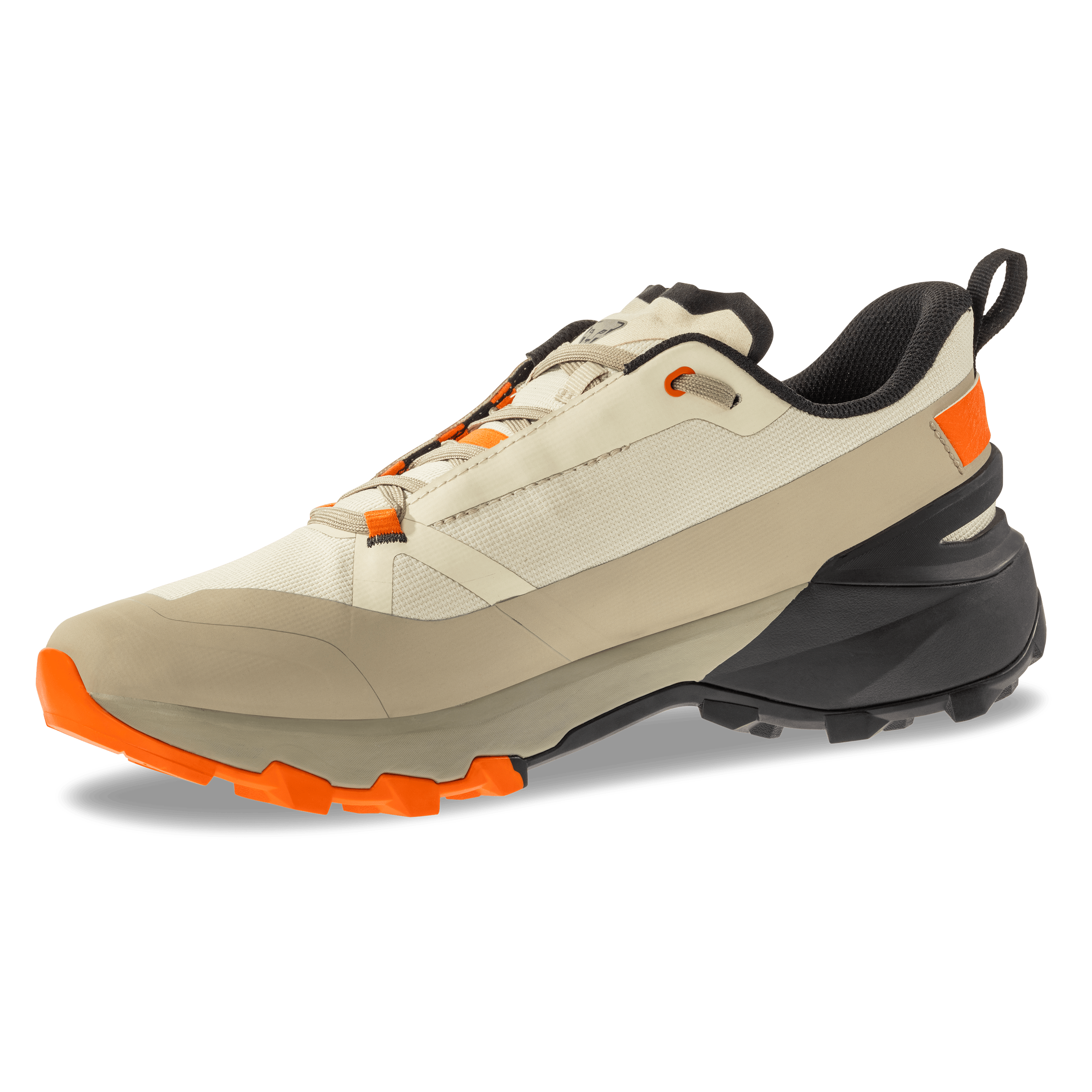 Transalper 2 GTX Mountaineering Schuh Herren perspective_view image