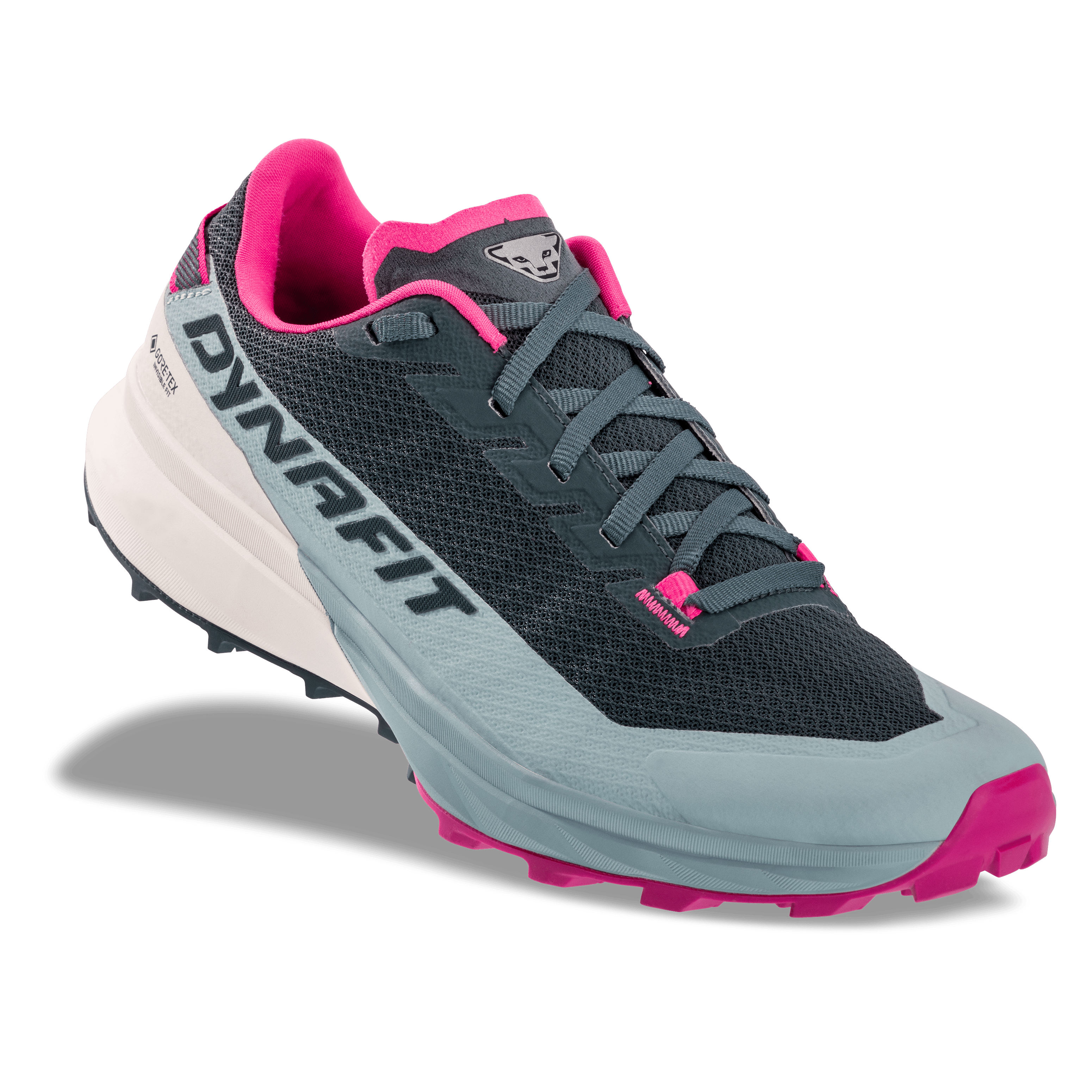 Chaussure running Ultra GTX femmes perspective_view image